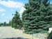 100_0020